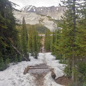 100 Rockies.jpg
