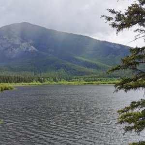 120 Rockies.jpg