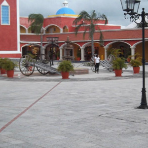 DSCF0346