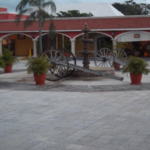 DSCF0347