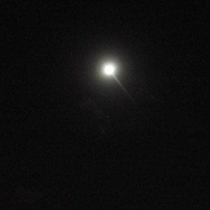 DSCF0416