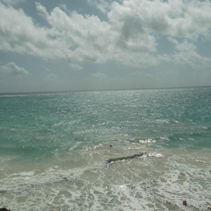 DSCF0475