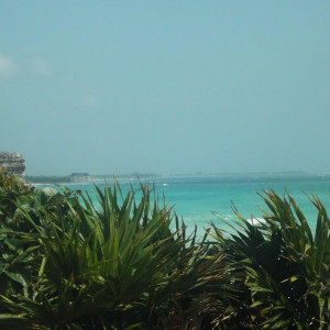 DSCF0485
