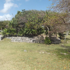 DSCF0512