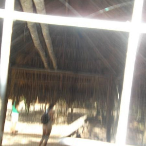 DSCF0565