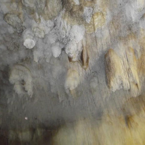 DSCF0585