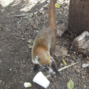DSCF0606