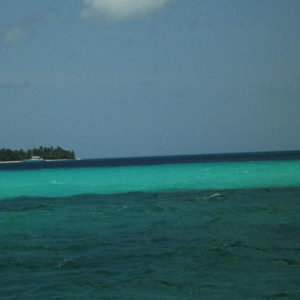 DSCF1877
