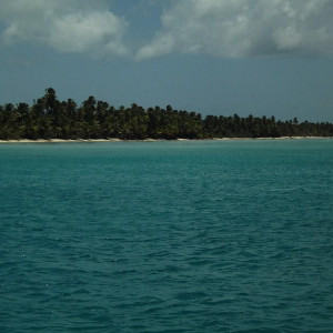 DSCF1884