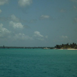 DSCF1886