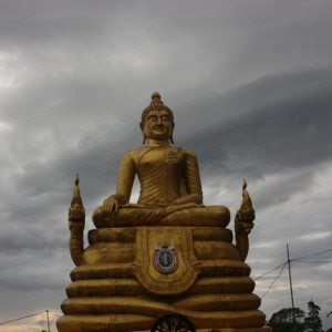 IMG 7475