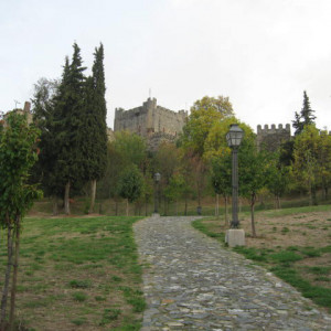 IMG 2689