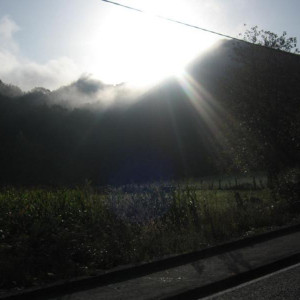 IMG_2747.JPG