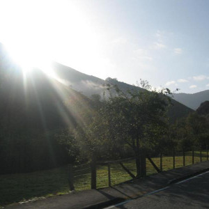 IMG_2748.JPG