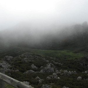IMG_2779.JPG