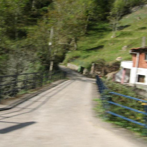 IMG_2822.JPG