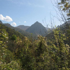IMG_2831.JPG