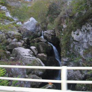 IMG_2872.JPG