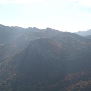 IMG_2933.JPG