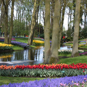 Holanda Dia Da Rainha2010 420