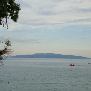 5DSC04376 Ilha Cres - Croácia.JPG