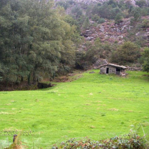 gerês