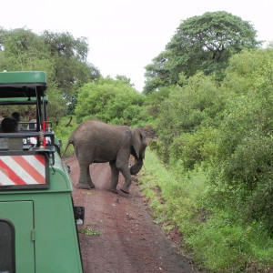 Lake Manyara