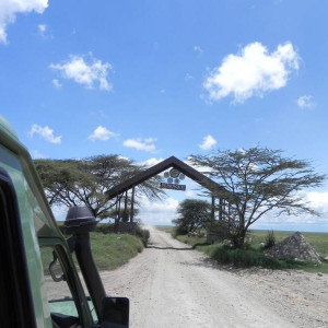 Entrada Serengeti