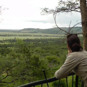 Serengeti