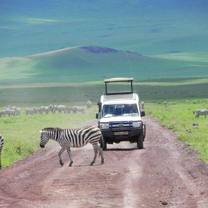 Cratera Ngorongoro