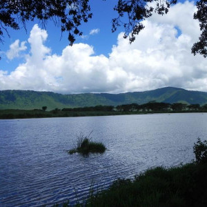 lago dos hipotamos