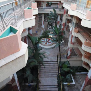 DSC05586