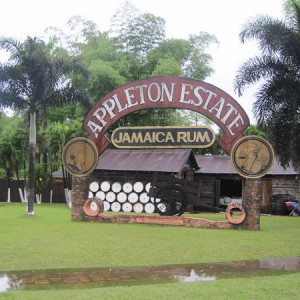 14.Appleton