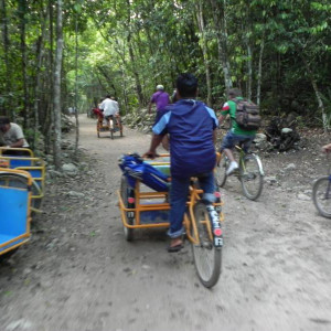 Coba