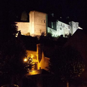 DSC01290Chinon [640x480]