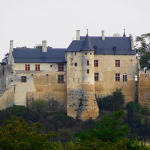 DSC01312Chinon [640x480]