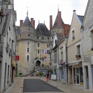 DSC01382Langeais [640x480]