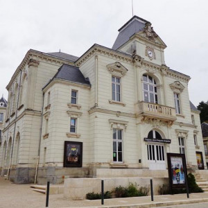 DSC01395Langeais [640x480]