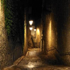 DSC01456Blois [640x480].JPG