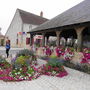 DSC01516Cheverny [640x480].JPG