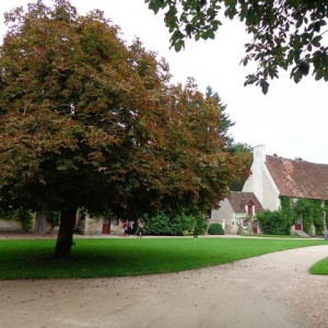 DSC01552Chenonceau [640x480].JPG