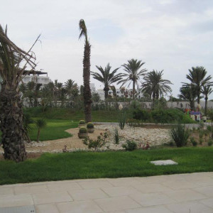 IMG 0767