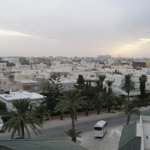 IMG 0774