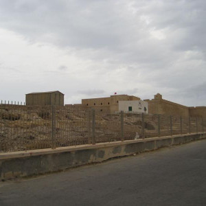 IMG 0795