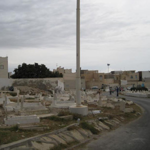 IMG 0800