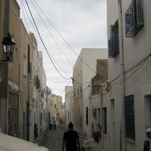 IMG 0817