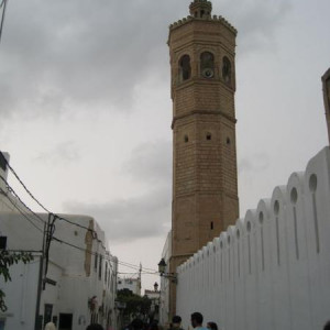 IMG 0824