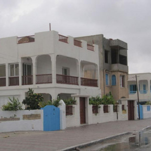 IMG 0826