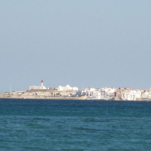 IMG_0958.JPG
