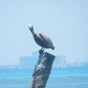 Isla Mujeres